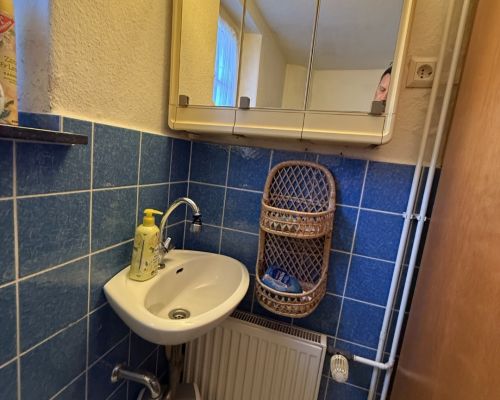 Toilette im Erdgeschoss Ansicht 2