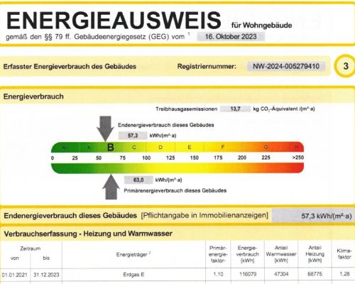 Auzug Energieausweis vom 21.08.2024