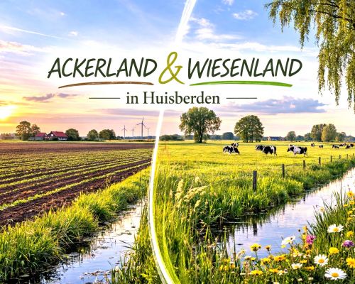Acker und Wiesenland mit Bachlauf in Huisberden  