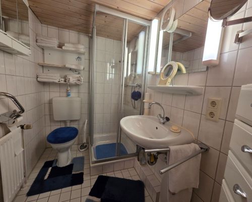 Badezimmer Souterrain