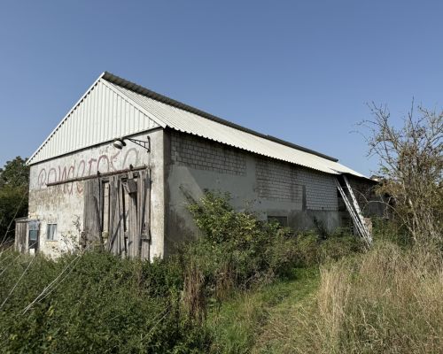 10 Schweinestall mit neuer Eindeckung
