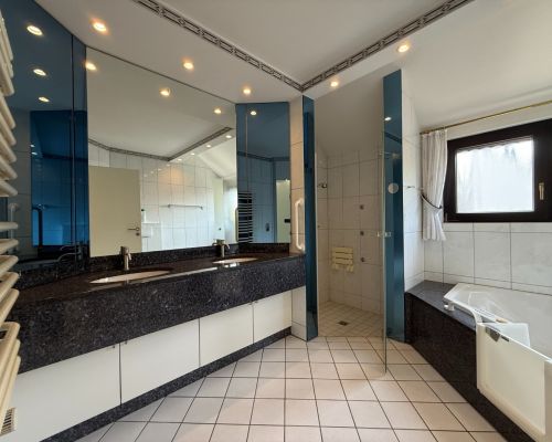 7 Badezimmer Ansicht 1