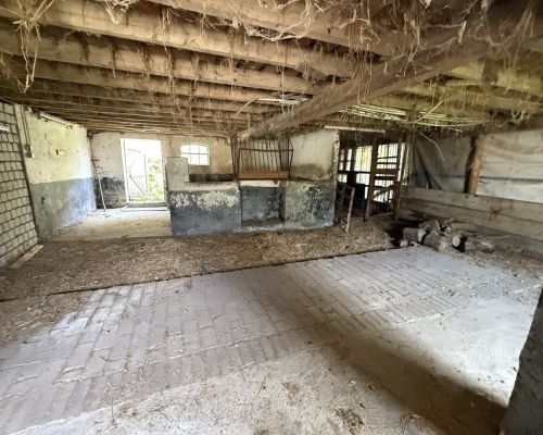 11 Schweinestall innen