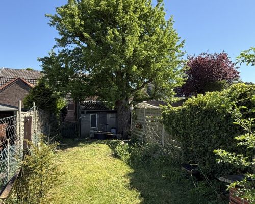 5 Garten hinten Ansicht 2